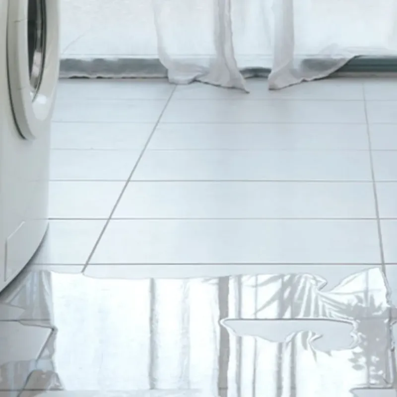 Appliance Leak Cleanup in Richland County, ND