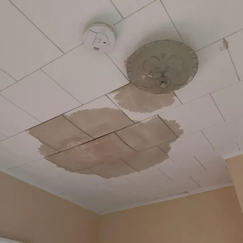 Ceiling Water Damage Repair in Richland County, ND