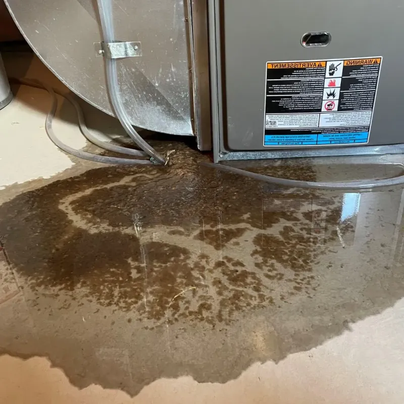 Pipe Burst and Leak Restoration in Richland County, ND