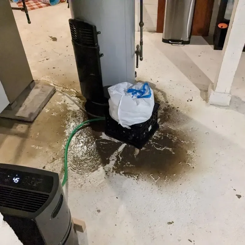 Sewage Backup Cleanup Service in Richland County, ND